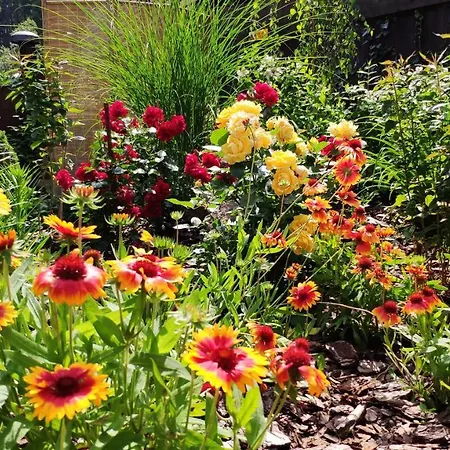 Skokanovo Slovensky Raj