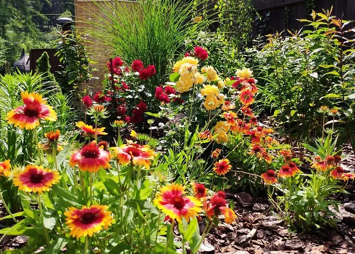 Skokanovo Slovensky Raj